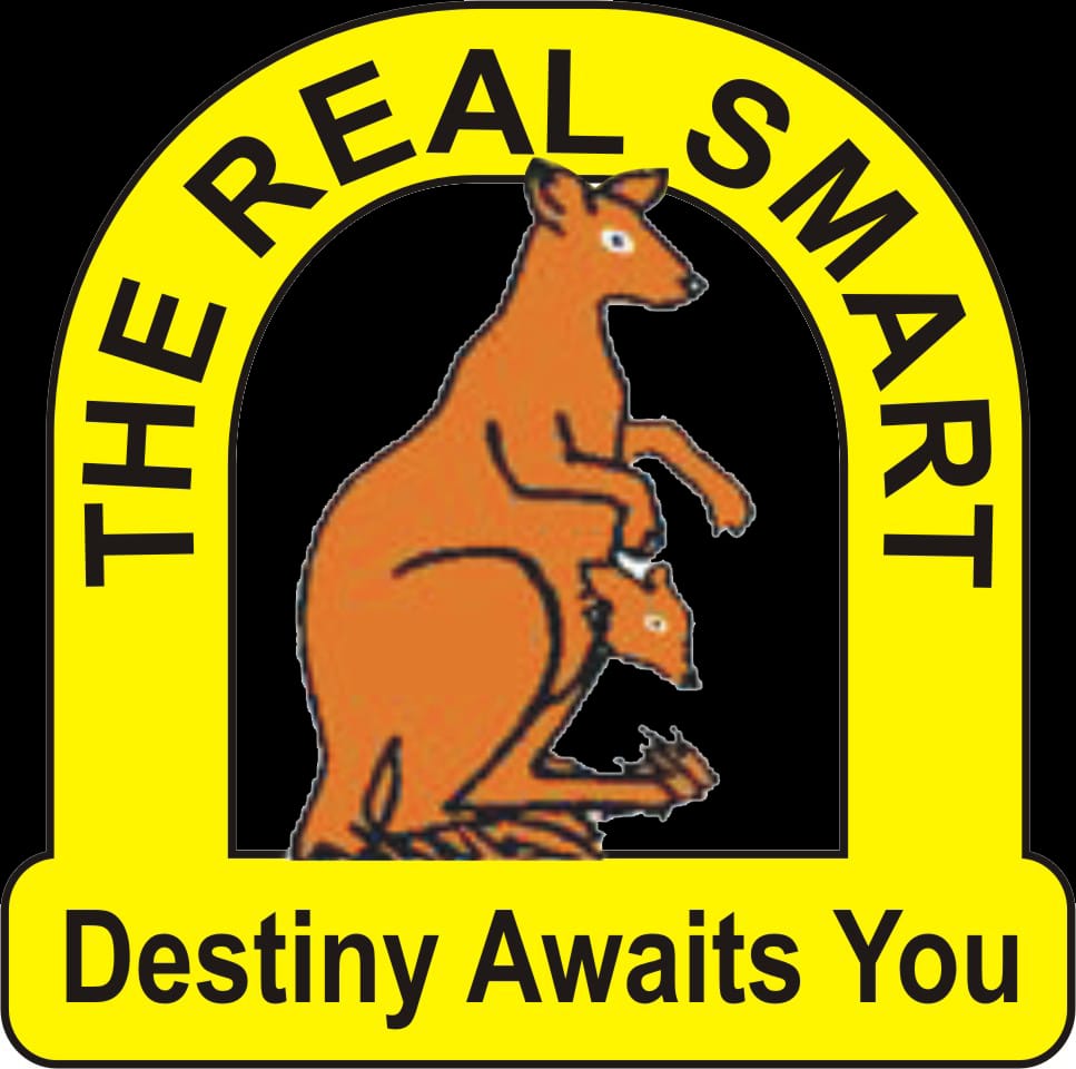 Advanced Education School Logo